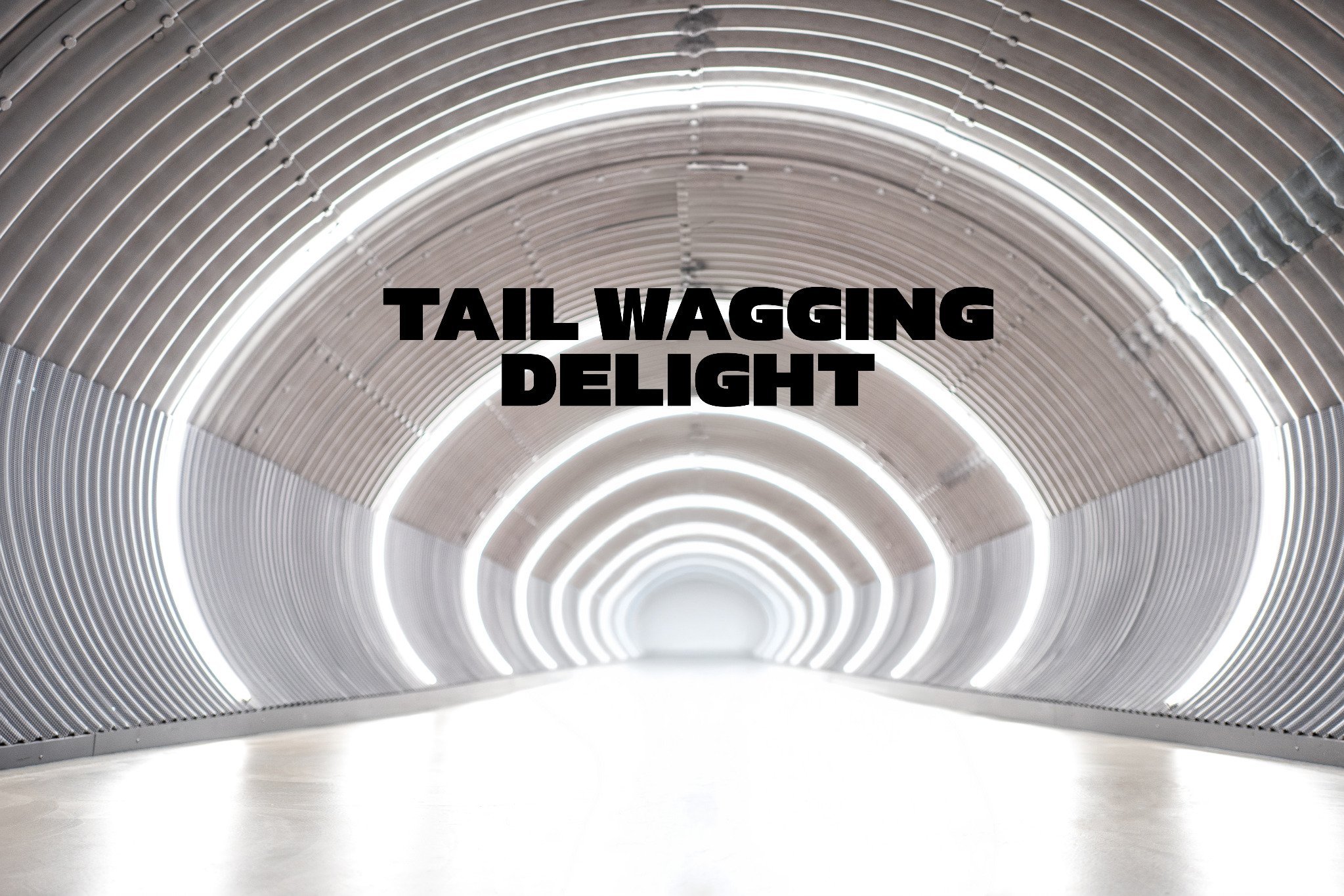 Tail Wagging Delight